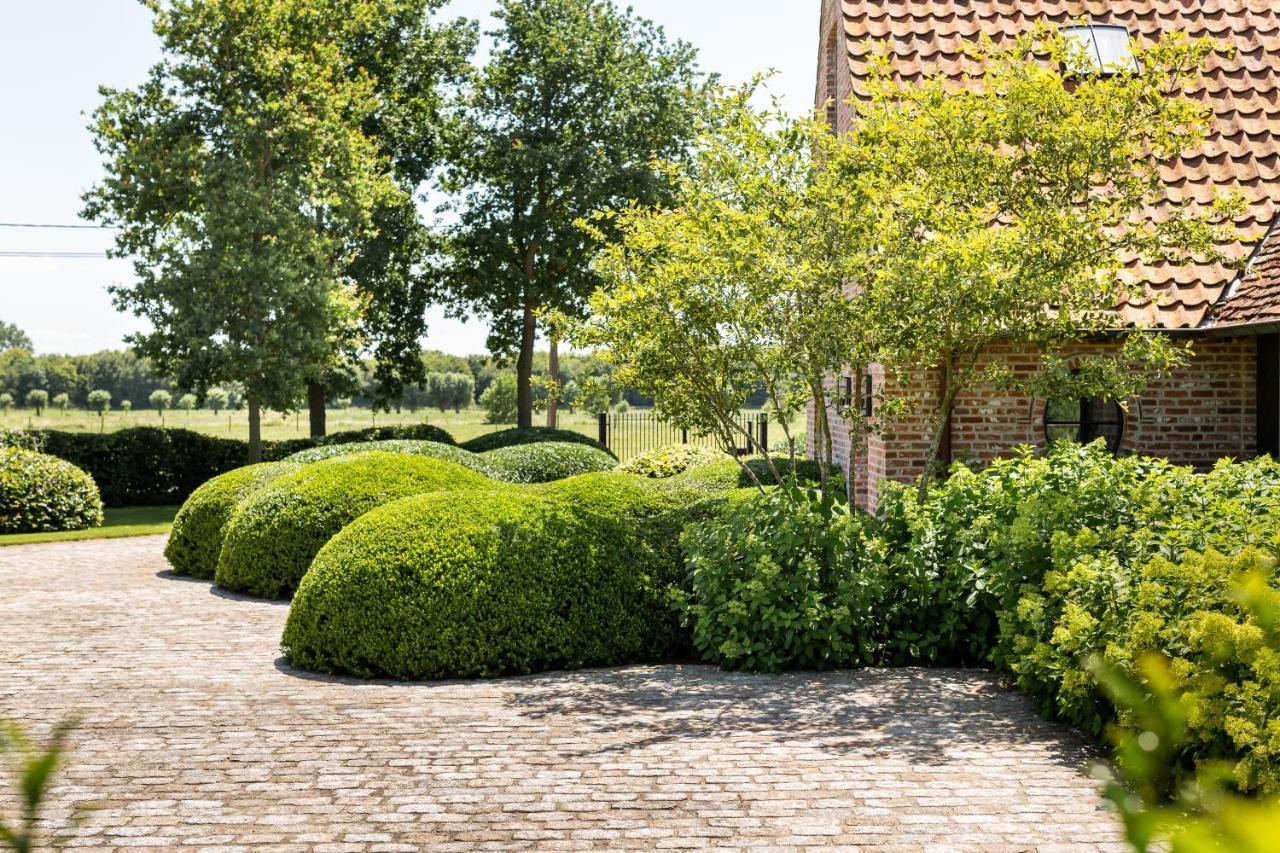 Hoeve Den Akker - Luxueuze Vakantiewoningen Met Privetuinen En Alpaca'S Nabij Brugge, Damme, Knokke, Sluis En Cadzand Esterno foto