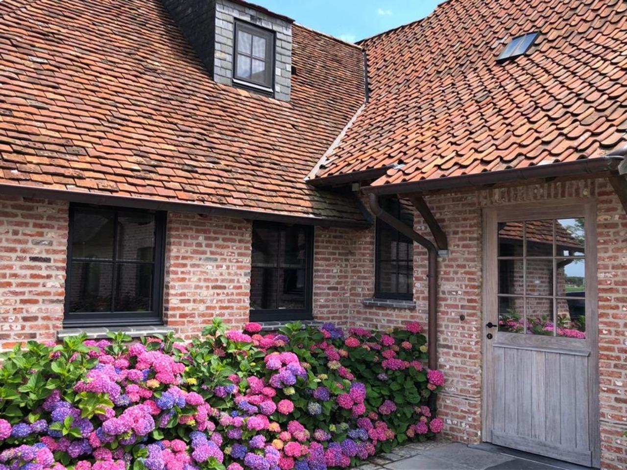Hoeve Den Akker - Luxueuze Vakantiewoningen Met Privetuinen En Alpaca'S Nabij Brugge, Damme, Knokke, Sluis En Cadzand Esterno foto