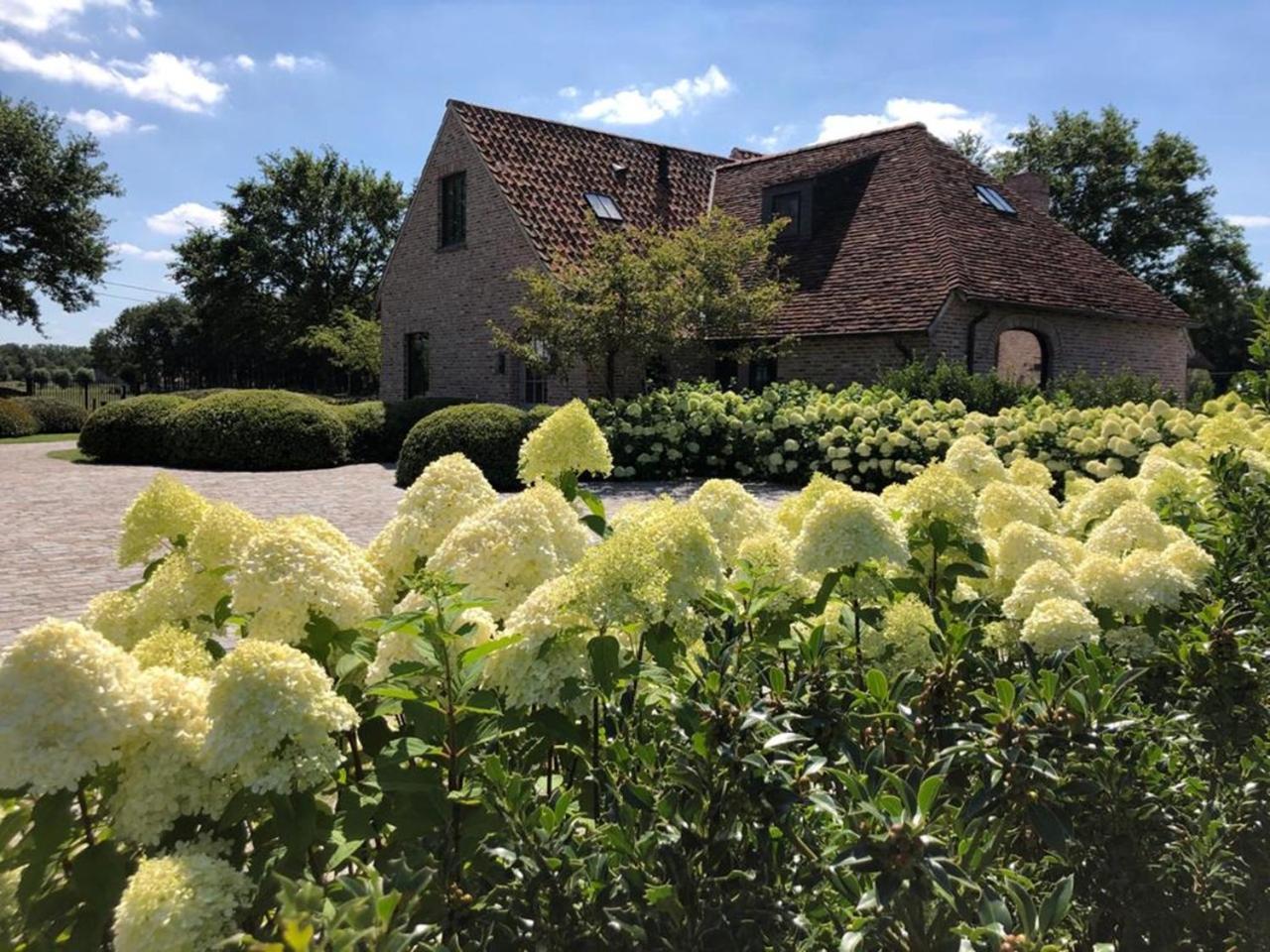 Hoeve Den Akker - Luxueuze Vakantiewoningen Met Privetuinen En Alpaca'S Nabij Brugge, Damme, Knokke, Sluis En Cadzand Esterno foto