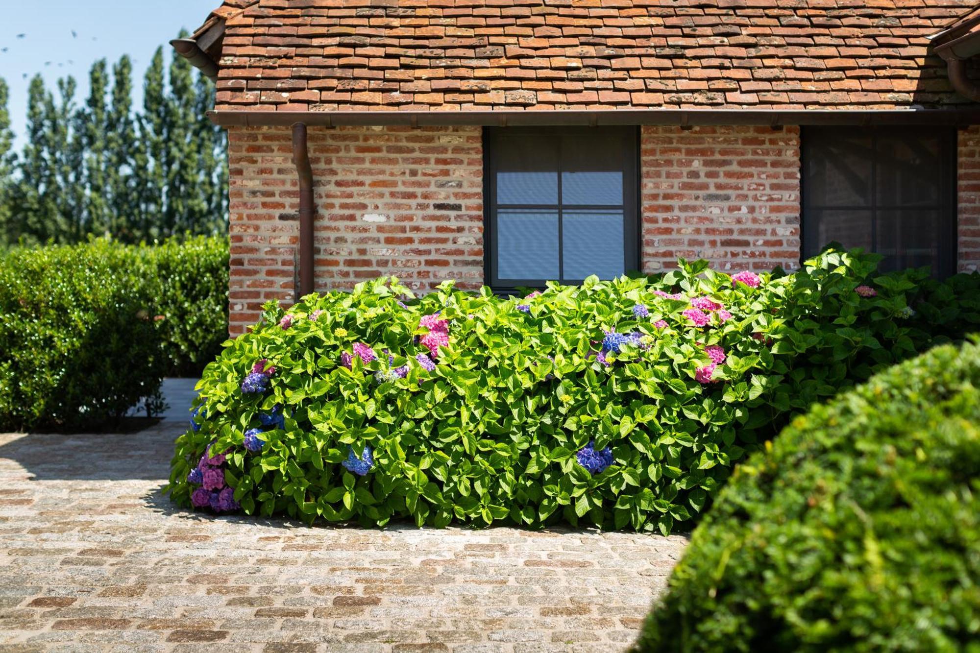 Hoeve Den Akker - Luxueuze Vakantiewoningen Met Privetuinen En Alpaca'S Nabij Brugge, Damme, Knokke, Sluis En Cadzand Esterno foto