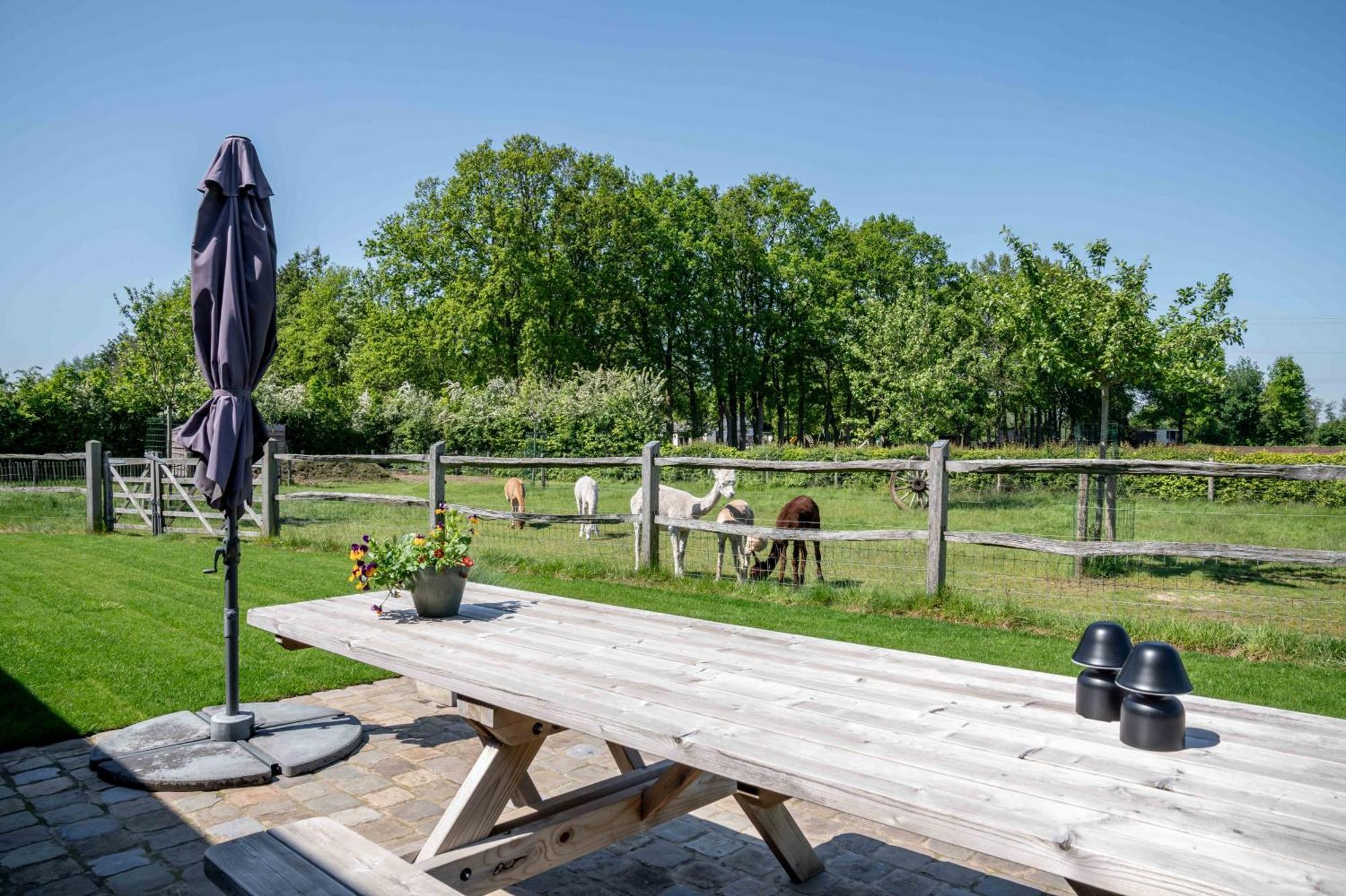 Hoeve Den Akker - Luxueuze Vakantiewoningen Met Privetuinen En Alpaca'S Nabij Brugge, Damme, Knokke, Sluis En Cadzand Esterno foto