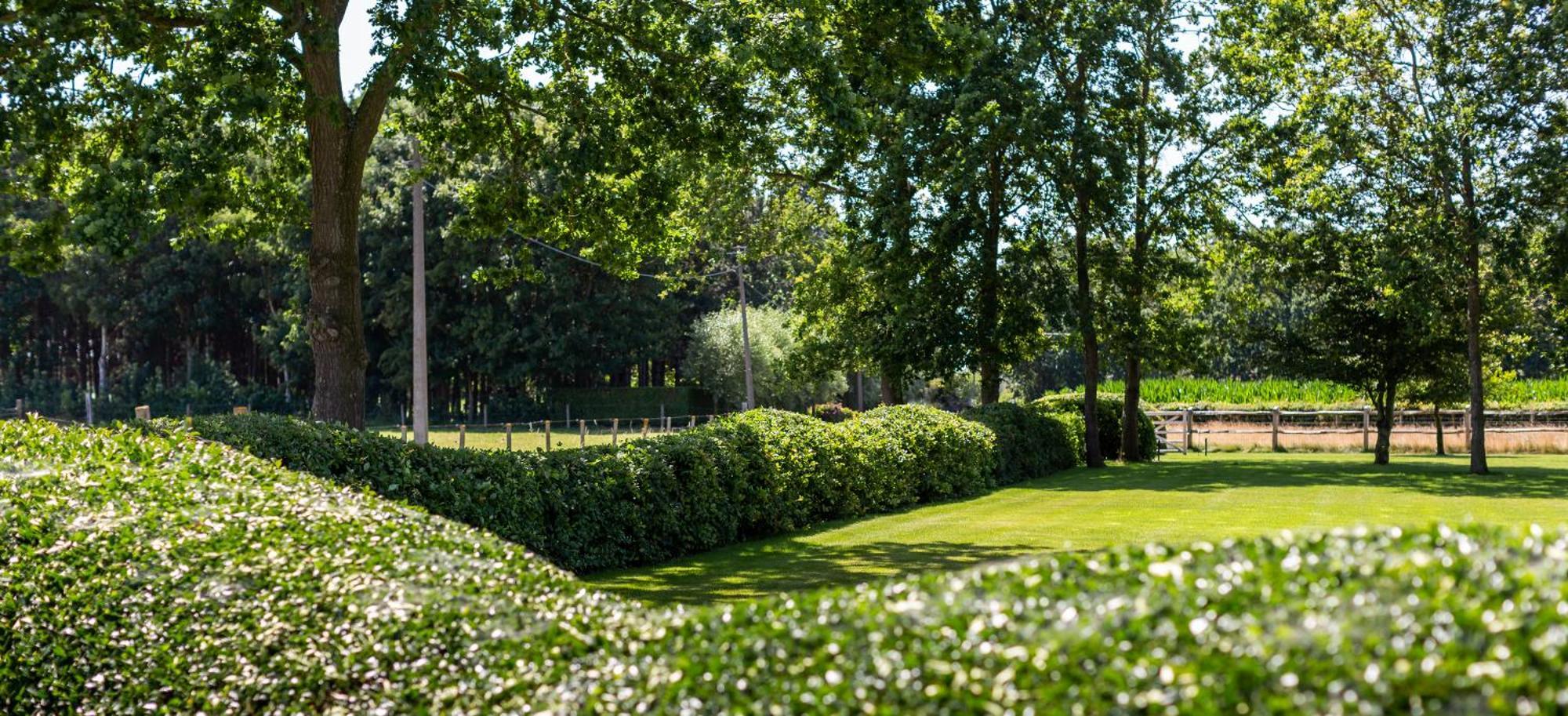Hoeve Den Akker - Luxueuze Vakantiewoningen Met Privetuinen En Alpaca'S Nabij Brugge, Damme, Knokke, Sluis En Cadzand Esterno foto